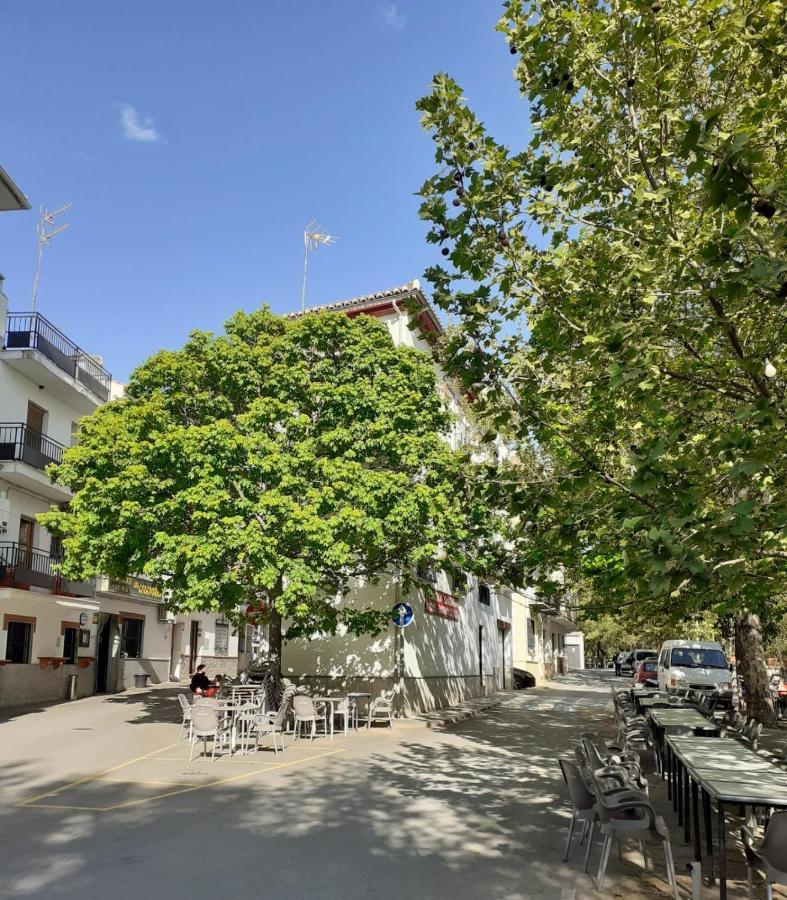Apartamentos Pinos Genil Exteriör bild